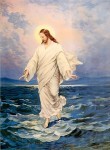 Curso de la historia de la salvación: Unidad XI:Aplicación de la Salvación en el Tiempo de la Iglesia. Padre Jorge Alberto Limón.