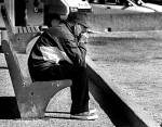 Reflexión del día: El aguila y la zorra: Audio mp3