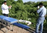 Mundo de hoy:Matan a pedradas a alcalde de Tancítaro