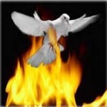 Comentario al evangelio de Lucas 12, 49-53. Audio mp3