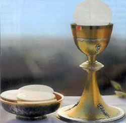 La comunión bajo las dos especies: Criterios y requisitos: CONALI