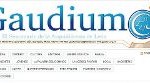 El gaudium pública: ¿NO ME PUEDO ACERCAR A UN GRUPO APOSTÓLICO SI NO ESTOY CASADA POR LA IGLESIA?