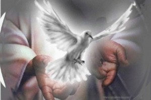 Oración del Espíritu Santo. Para comenzar a orar invoquemos al Dulce Huesped de Nuestras Almas