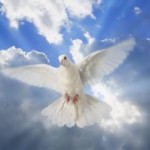 Oración al Espíritu Santo para pedir sus siete dones.