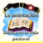 La animación bíblica de vida pastoral, la cuña para la evangelización.