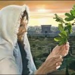 La higuera que no da fruto. Todos los cristianos estamos llamados a ….