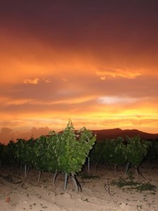 Comentario al evangelio de Mateo 20, 1-16. El contratista generoso. Audio mp3