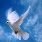 Oración por la Paz del País y en todo el mundo.