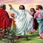 Evangelio San Mateo 9,35;10,1.6-8. Sábado 3 de Diciembre de 2011.