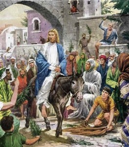 Comentario al evangelio de Juan 12, 12-16, domingo de ramos, oportunidad para que sea nuestro rey. Audio mp3