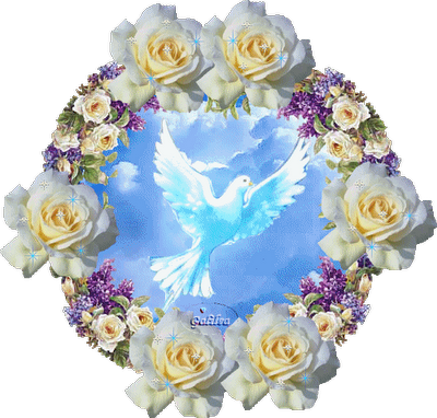 Evangelio San Juan 16,5-11. Martes 15 de Mayo de 2012.