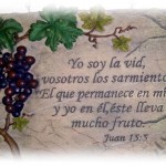 Evangelio San Juan 15,1-8. Miércoles 9 de Mayo de 2012.