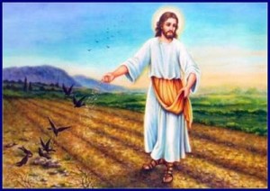 Comentario al evangelio de Marcos 4, 26-34. El reino de Dios está en medio de nosotros. audio mp3