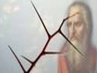 2a lect. de la carta del Apóstol San Pablo a los Corintios 12,7-10. Domingo 8 de Julio de 2012.