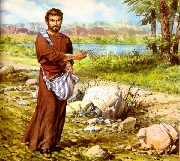 Evangelio San Mateo 13,18-23. Viernes 27 de Julio de 2012.