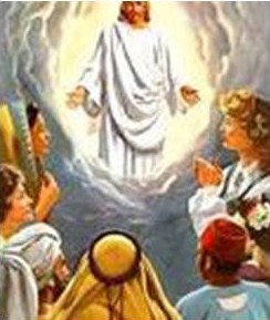 Salmo 144 (145). Lunes 9 de Julio de 2012.