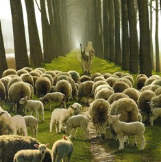 (Salmo) Jeremías 31. Miércoles 8 de Agosto de 2012.