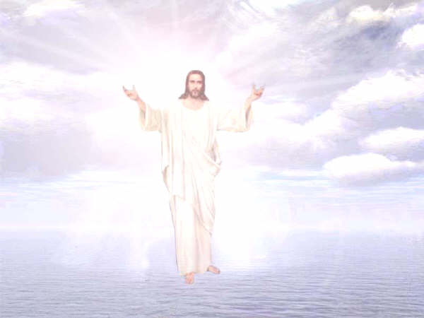 Evangelio San Juan 6,24-35. Domingo 5 de Agosto de 2012.