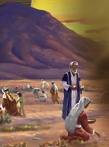 1a lect. del libro del Éxodo 16,2-4.12-15. Domingo 5 de Agosto de 2012.