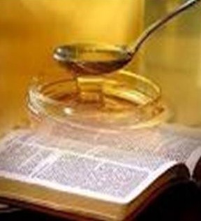 Salmo 118 (119). Martes 14 de Agosto de 2012. Misa Matutina