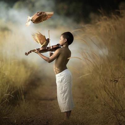 Salmo 150. Miércoles 21 de Noviembre de 2012.