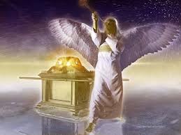 Del libro del Apocalipsis del Apóstol San Juan 22,1-7. Sábado 1 de Diciembre de 2012.