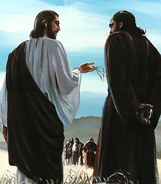 Evangelio San Marcos 2,23-28. Martes 22 de Enero de 2013.