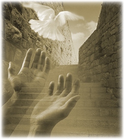 Oremos unidos por todas las familias del mundo…Oremos también por todos nuestros hermanos enfermos en especial por Carlos Cordero, Elvia Yolanda Escobar de Checo- Argentina y Ramón Antonio Mercado, Petra Núñez, Fernando Isaías.