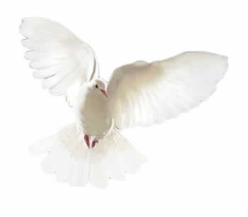 Espíritu Santo de libertad. Oración