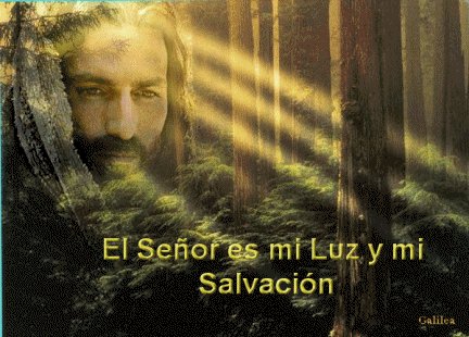 Salmo 26 (27). Viernes 8 de Febrero de 2013.