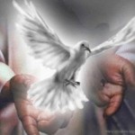 Las palabras de consuelo a los discípulos. Oremos para que aprendamos a ser dóciles a las inspiraciones del Espíritu Santo. Hora Santa