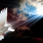 Unidos con todo el corazón oremos por la elección de nuestro nuevo Papa y por todos los Cardenales para que dóciles a las inspiraciones del Espíritu Santo elijan al que nuestro Padre Celestial ha elegido.