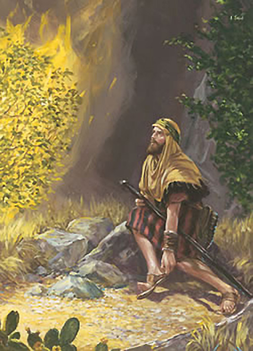 1a lect. del libro del Exódo 3,1-8.13-15. Domingo 3 de Marzo de 2013.