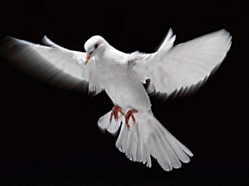 La brisa del segundo Pentecostés. Bernabé Nwogye  Hora Santa