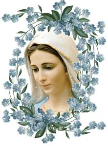 María Madre de los afligidos. Oración