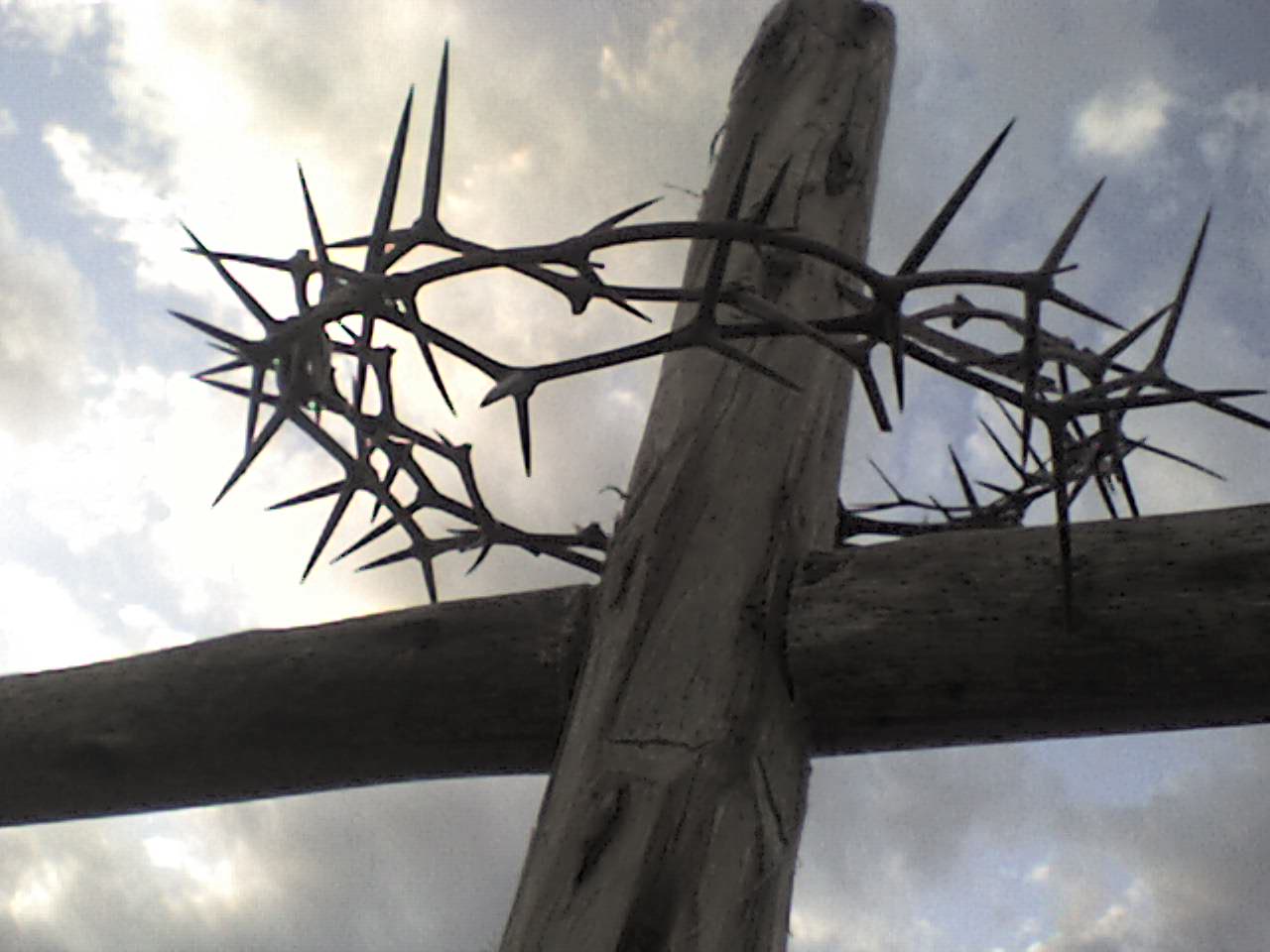 La Exaltación de la Santa Cruz, Himno. Liturgia de las Horas para los fieles