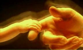 ¿Se ha perdido la confianza en Dios o el hombre ha puesto los ojos en sí mismo?