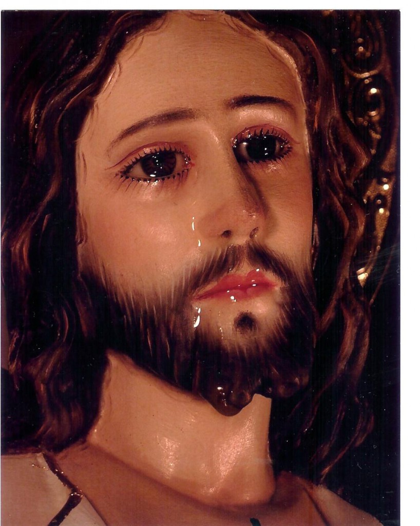 Evangelio San Lucas 19,41-44. Jueves 21 de Noviembre de 2013.