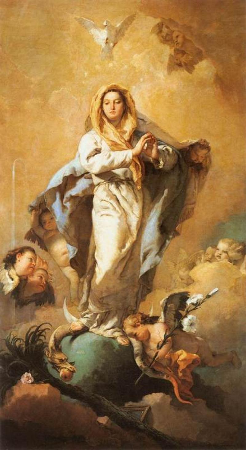 La Inmaculada Concepción de la Santísima Virgen  María  Solemnidad