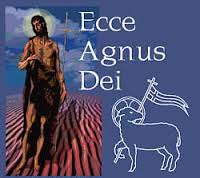 Evangelio San Juan 1,29-34. Domingo 19 de Enero de 2014.