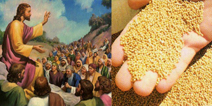 Evangelio San Marcos 4,26-34. Viernes 31 de Enero de 2014.