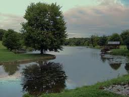 Salmo 1. Jueves 6 de Marzo de 2014.