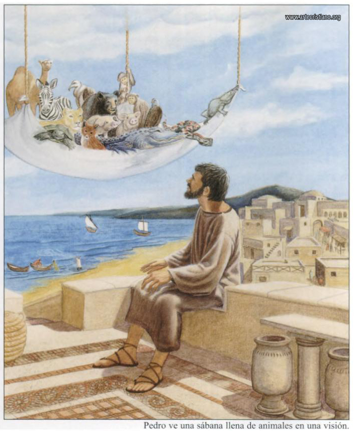 Del libro de los Hechos de los Apóstoles 11,1-18. Lunes 12 de Mayo de 2104.