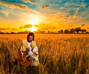 Evangelio San Juan 10,1-10. Domingo 11 de Mayo de 2014.