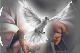 Evangelio San Juan 16,5-11. Martes 27 de Mayo de 2014.