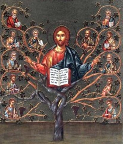 Evangelio San Juan 15,1-8. Miércoles 21 de Mayo de 2014.