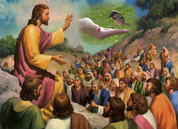 Evangelio San Mateo 10,26-33. Domingo 22 de Junio de 2014.