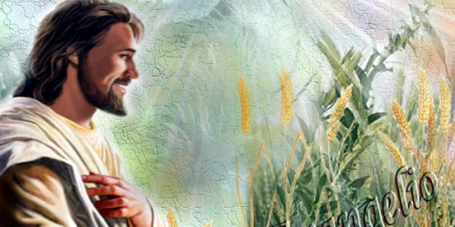 Billete Celador -Un Mensaje para Ti Guardia de Honor- El trigo y la cizaña… Parroquia de San Pío X