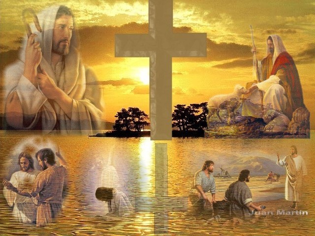 Evangelio San Mateo 12,14-21. Sábado 19 de Julio de 2014.