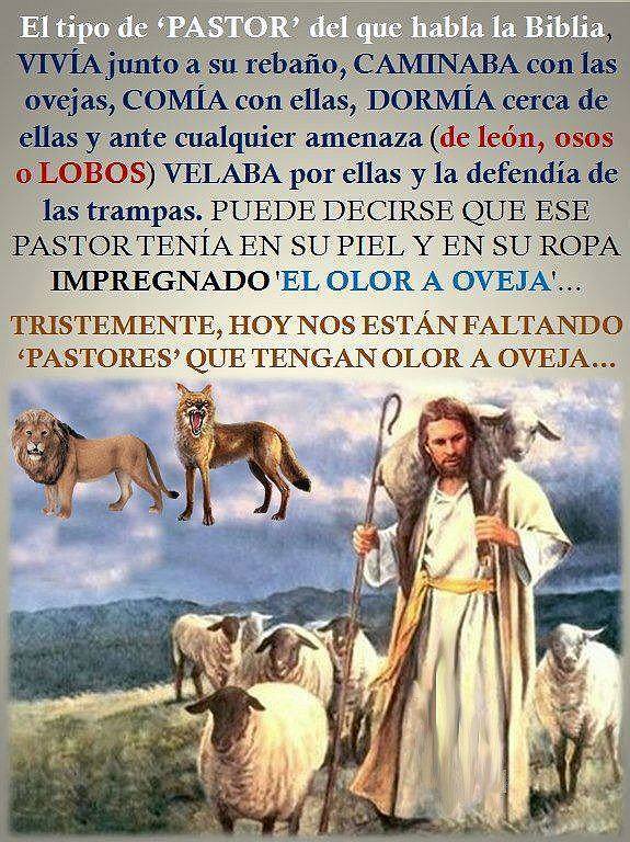 Del libro del Profeta Miqueas 7,14-15. 18-20. Martes 22 de Julio de 2014.